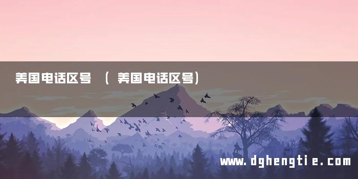 美国电话区号 (美国电话区号)